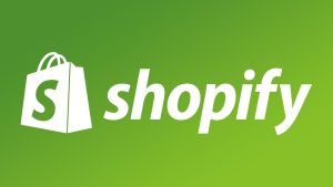 11 meilleurs site de vente en ligne (3)